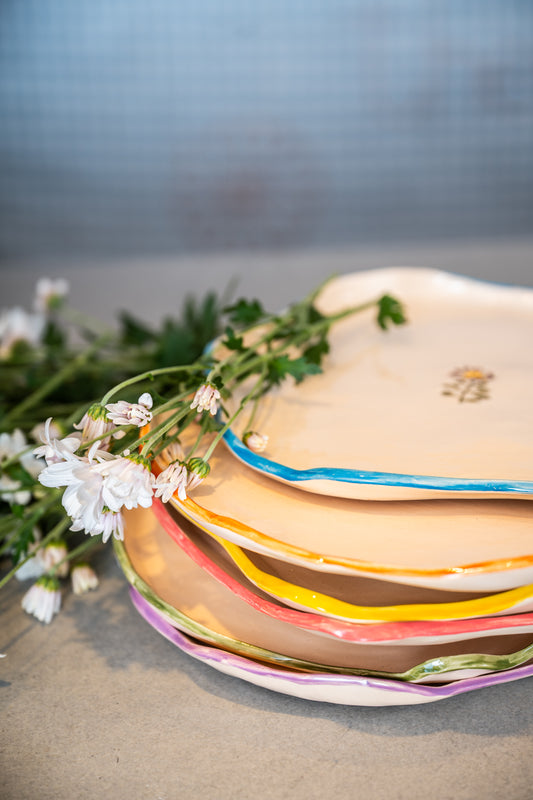 Conjunto de Pratos Primavera ( 6 pratos )