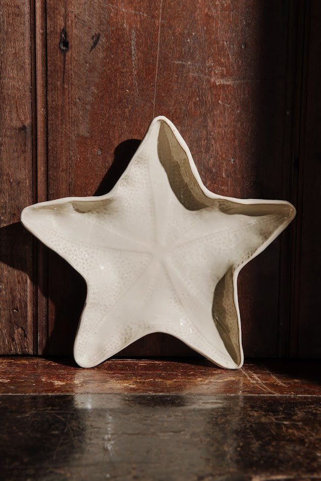 PRATO APOIO ESTRELA DO MAR M – UNITÁRIO