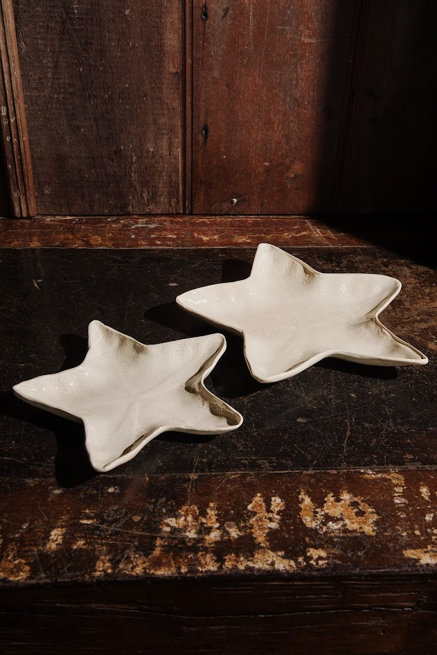 PRATO APOIO ESTRELA DO MAR M – UNITÁRIO