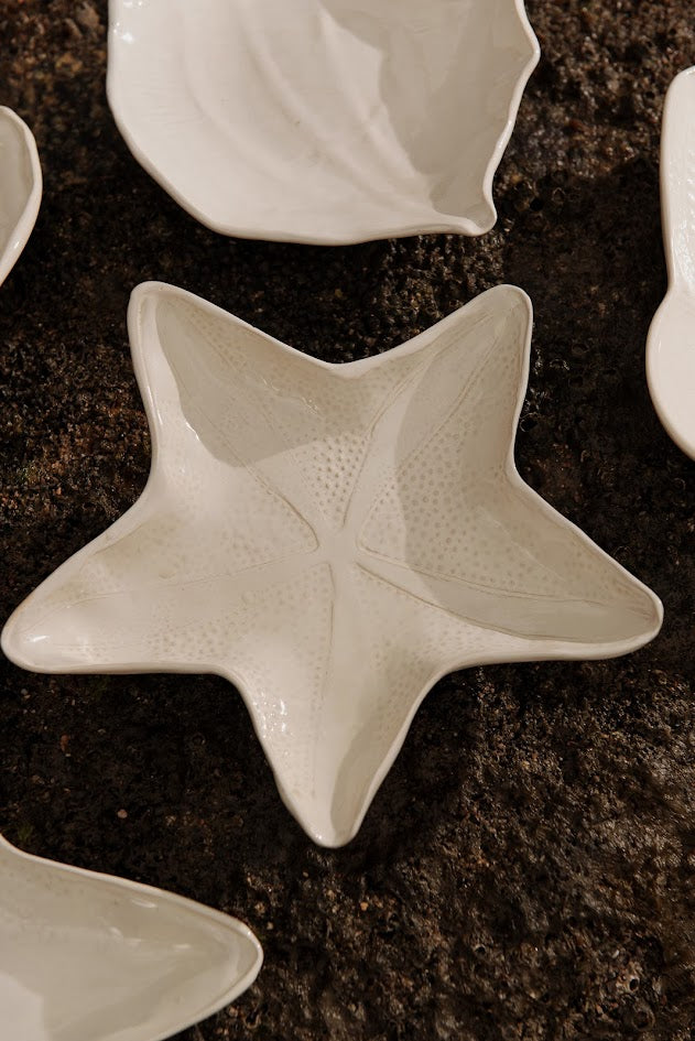 PRATO APOIO ESTRELA DO MAR M – UNITÁRIO