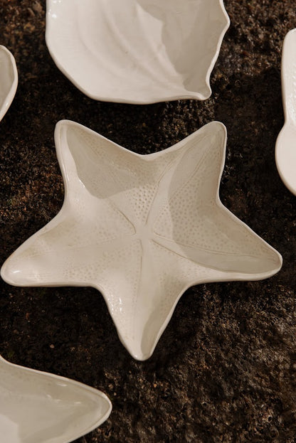 PRATO APOIO ESTRELA DO MAR M – UNITÁRIO
