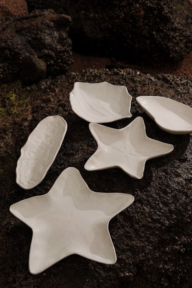 PRATO APOIO ESTRELA DO MAR M – UNITÁRIO