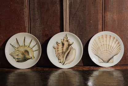 PRATO SOBREMESA CONCHA ABERTA – UNITÁRIO