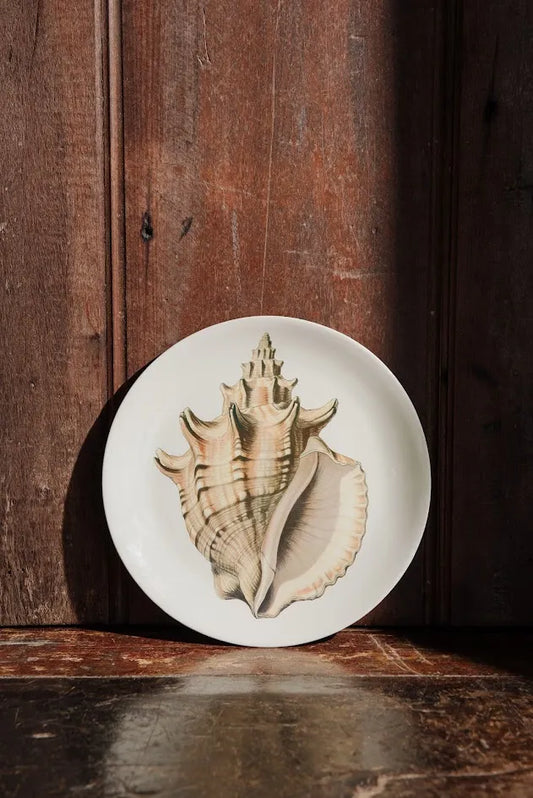 PRATO SOBREMESA CONCHA FECHADA – UNITÁRIO