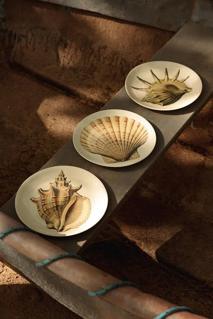 PRATO SOBREMESA CONCHA FECHADA – UNITÁRIO