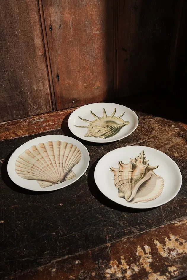 PRATO SOBREMESA CONCHA LEQUE – UNITÁRIO