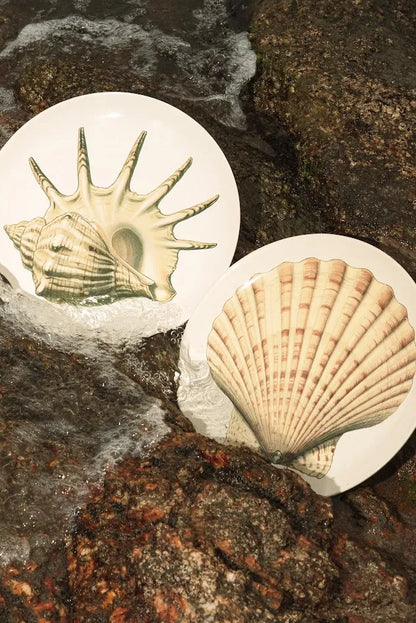 PRATO SOBREMESA CONCHA LEQUE – UNITÁRIO