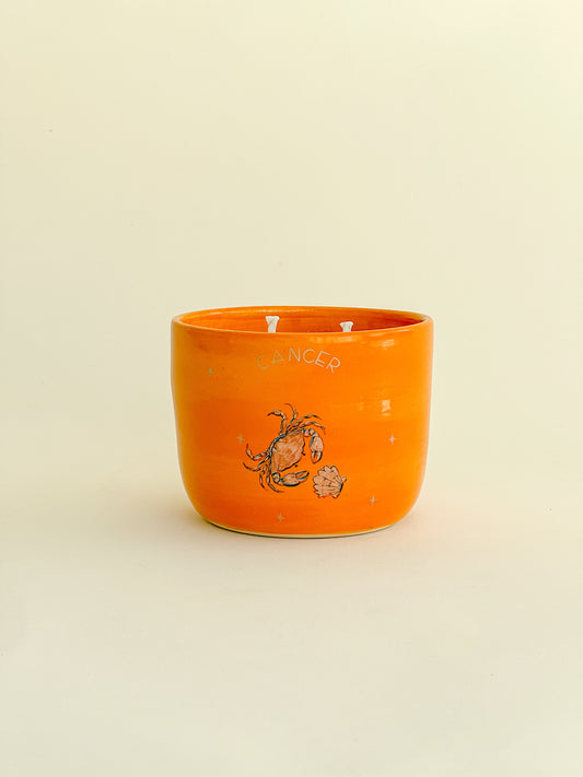 VELA CÂNCER  - UNITÁRIO